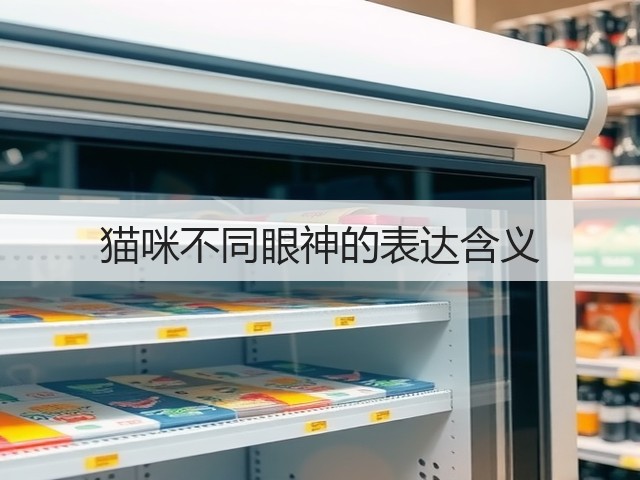 猫咪不同眼神的表达含义(图2) 猫咪不同眼神的表达含义(图2)