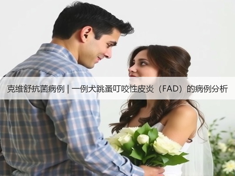 克维舒抗菌病例 | 一例犬跳蚤叮咬性皮炎（FAD）的病例分析