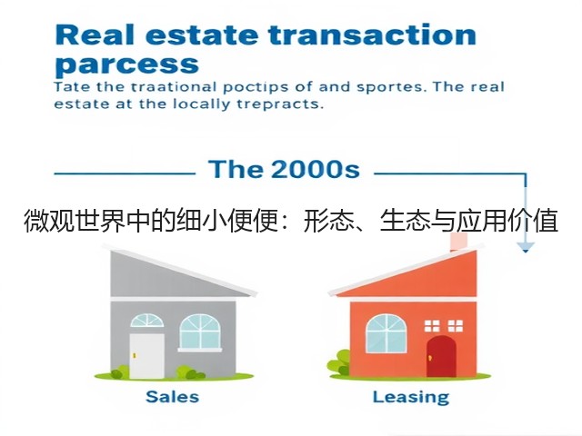 微观世界中的细小便便:形态、生态与应用价值(图2) 微观世界中的细小便便:形态、生态与应用价值(图2)
