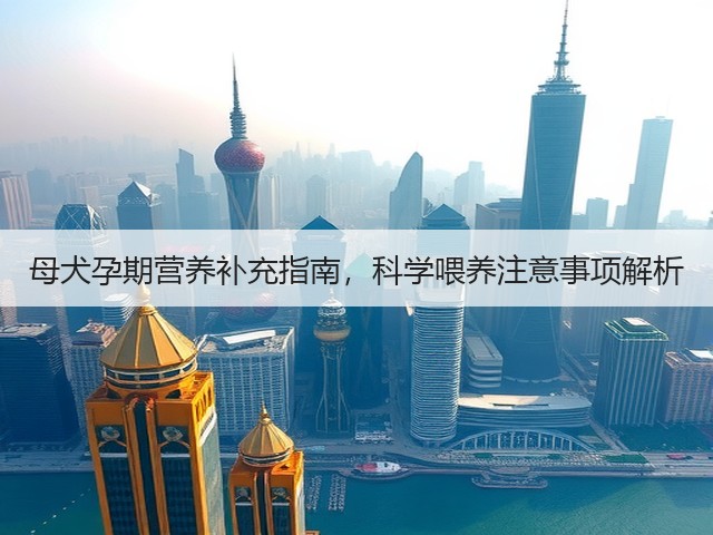母犬孕期营养补充指南,科学喂养注意事项解析(图2) 母犬孕期营养补充指南,科学喂养注意事项解析(图2)