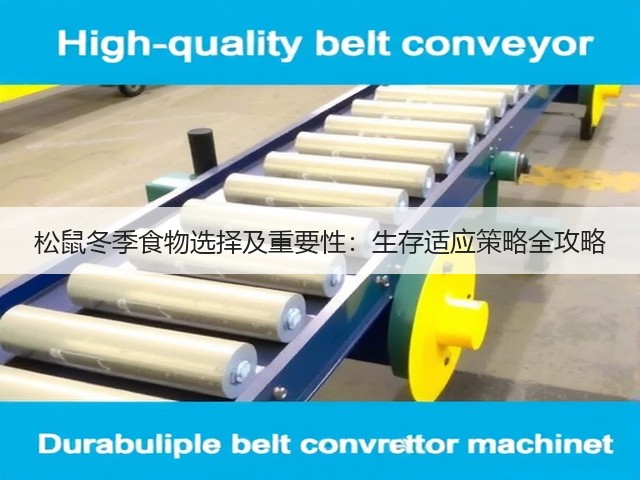 松鼠冬季食物选择及重要性:生存适应策略全攻略(图2) 松鼠冬季食物选择及重要性:生存适应策略全攻略(图2)