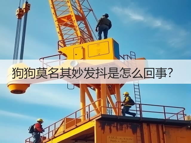 狗狗莫名其妙发抖是怎么回事?(图1) 狗狗莫名其妙发抖是怎么回事?(图1)