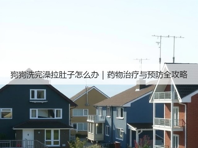 狗狗洗完澡拉肚子怎么办｜药物治疗与预防全攻略(图1)
