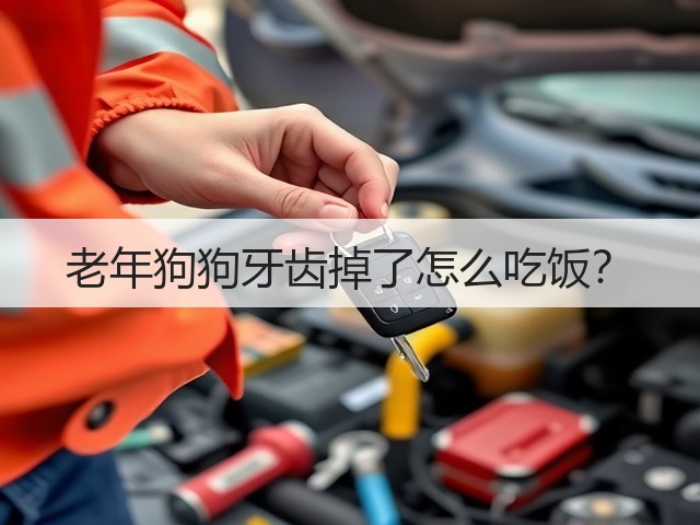 老年狗狗牙齿掉了怎么吃饭?(图2) 老年狗狗牙齿掉了怎么吃饭?(图2)