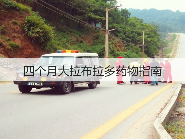 四个月大拉布拉多药物指南(图3) 四个月大拉布拉多药物指南(图3)