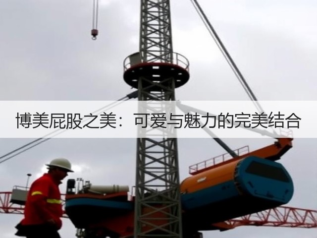 博美屁股之美:可爱与魅力的完美结合(图3) 博美屁股之美:可爱与魅力的完美结合(图3)