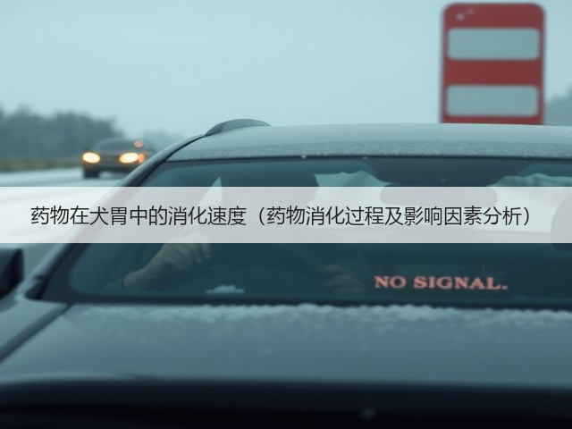 药物在犬胃中的消化速度（药物消化过程及影响因素分析）(图2)