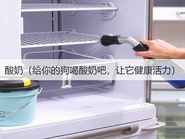 酸奶(给你的狗喝酸奶吧,让它健康活力)(图2) 酸奶(给你的狗喝酸奶吧,让它健康活力)(图2)