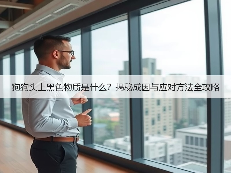 狗狗头上黑色物质是什么？揭秘成因与应对方法全攻略