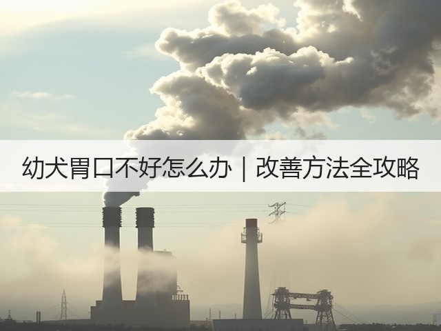 幼犬胃口不好怎么办|改善方法全攻略(图2) 幼犬胃口不好怎么办|改善方法全攻略(图2)