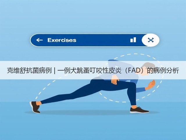 克维舒抗菌病例 | 一例犬跳蚤叮咬性皮炎(FAD)的病例分析(图2) 克维舒抗菌病例 | 一例犬跳蚤叮咬性皮炎(FAD)的病例分析(图2)