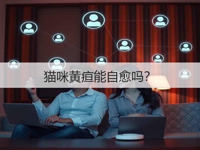猫咪黄疸能自愈吗?(图1) 猫咪黄疸能自愈吗?(图1)