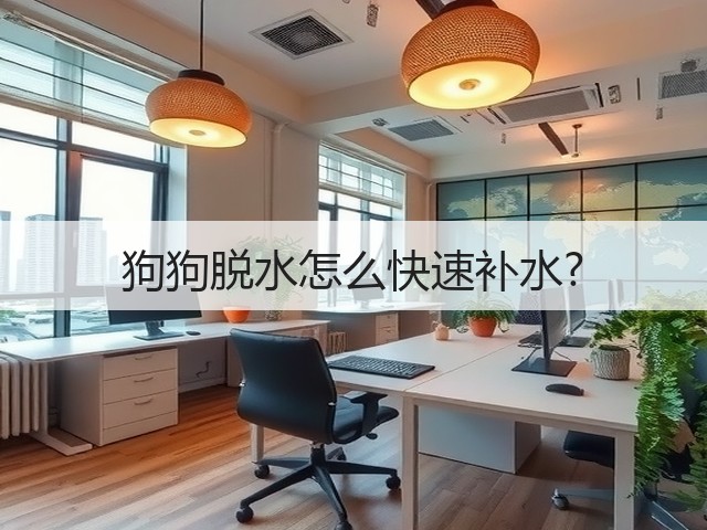 狗狗脱水怎么快速补水?(图1) 狗狗脱水怎么快速补水?(图1)