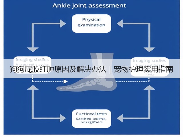狗狗屁股红肿原因及解决办法|宠物护理实用指南(图1) 狗狗屁股红肿原因及解决办法|宠物护理实用指南(图1)