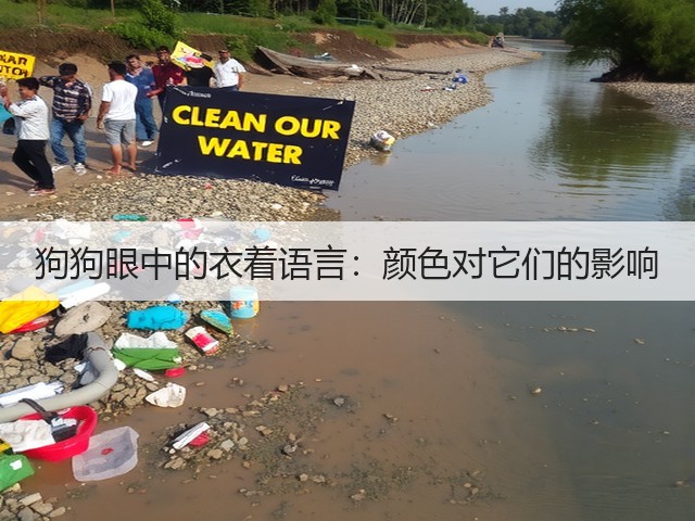 狗狗眼中的衣着语言:颜色对它们的影响(图3) 狗狗眼中的衣着语言:颜色对它们的影响(图3)