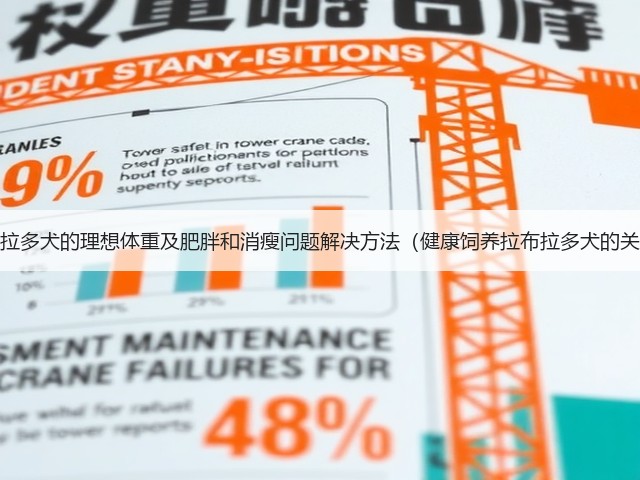 拉布拉多犬的理想体重及肥胖和消瘦问题解决方法(健康饲养拉布拉多犬的关键)(图2) 拉布拉多犬的理想体重及肥胖和消瘦问题解决方法(健康饲养拉布拉多犬的关键)(图2)