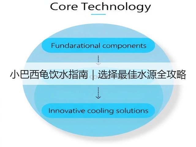 小巴西龟饮水指南|选择最佳水源全攻略(图2) 小巴西龟饮水指南|选择最佳水源全攻略(图2)