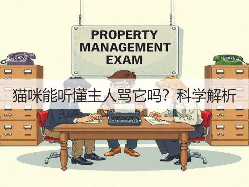 猫咪能听懂主人骂它吗？科学解析
