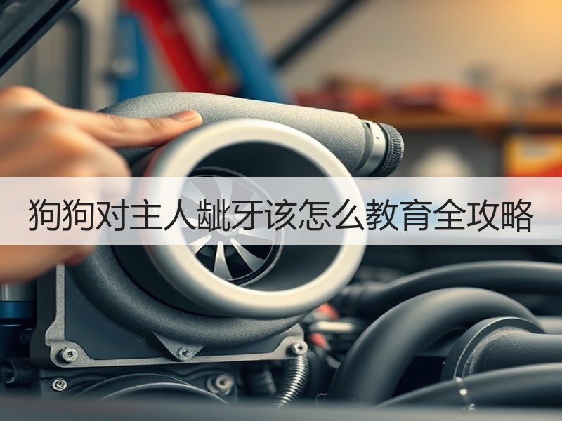 狗狗对主人龇牙该怎么教育全攻略