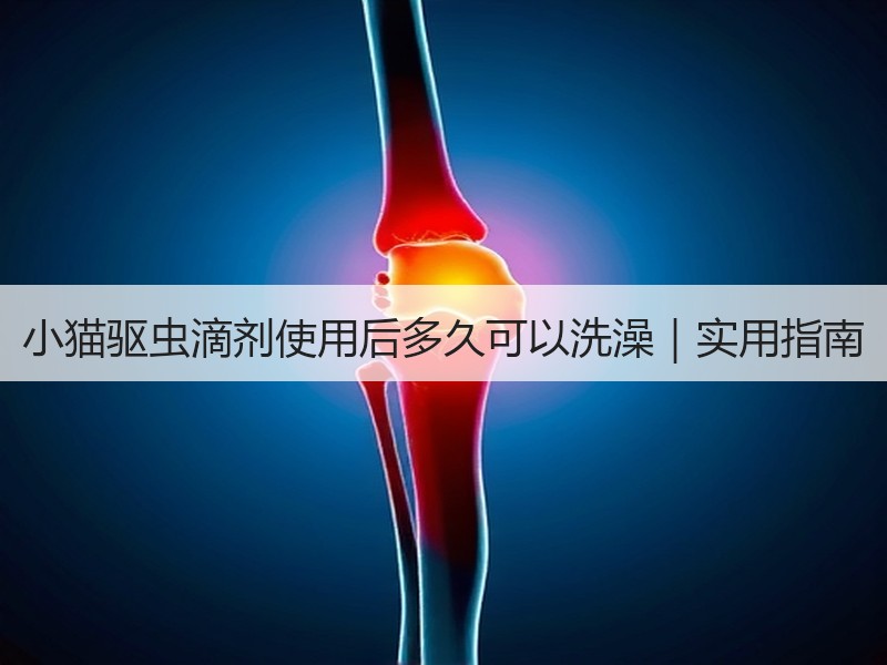 小猫驱虫滴剂使用后多久可以洗澡｜实用指南
