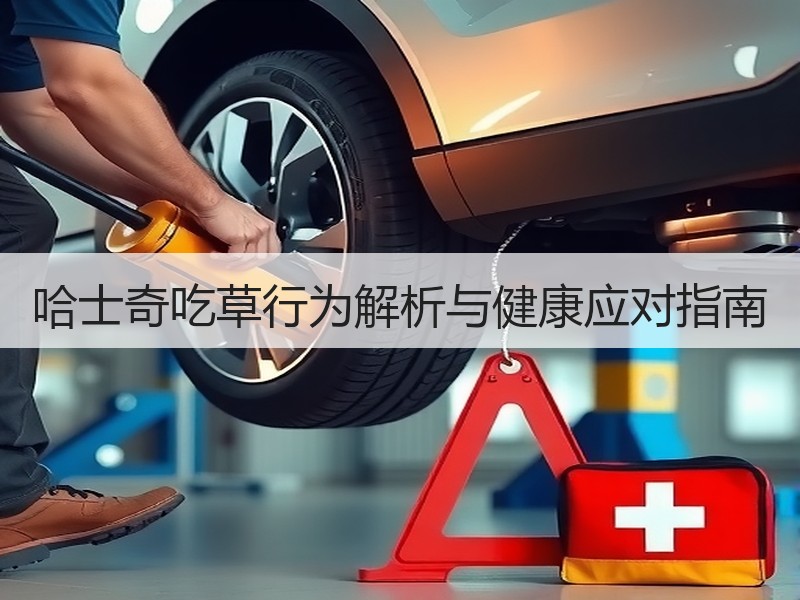 哈士奇吃草行为解析与健康应对指南