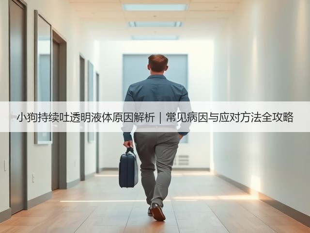 小狗持续吐透明液体原因解析|常见病因与应对方法全攻略(图3) 小狗持续吐透明液体原因解析|常见病因与应对方法全攻略(图3)