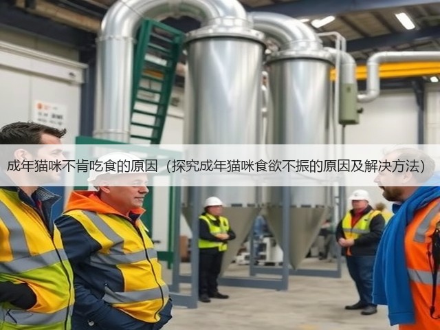 成年猫咪不肯吃食的原因(探究成年猫咪食欲不振的原因及解决方法)(图3) 成年猫咪不肯吃食的原因(探究成年猫咪食欲不振的原因及解决方法)(图3)