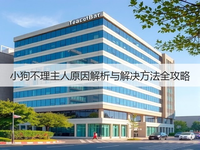 小狗不理主人原因解析与解决方法全攻略(图2) 小狗不理主人原因解析与解决方法全攻略(图2)