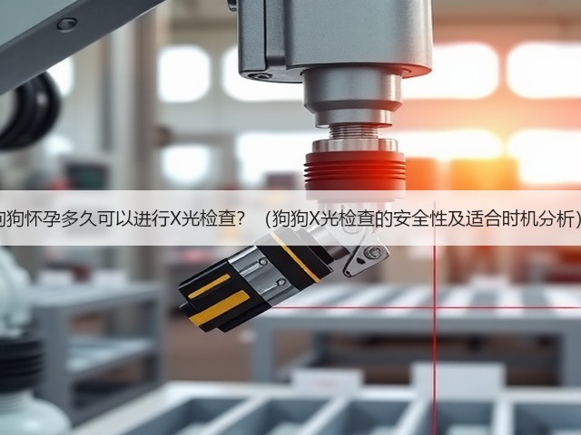 狗狗怀孕多久可以进行X光检查?(狗狗X光检查的安全性及适合时机分析)(图2) 狗狗怀孕多久可以进行X光检查?(狗狗X光检查的安全性及适合时机分析)(图2)