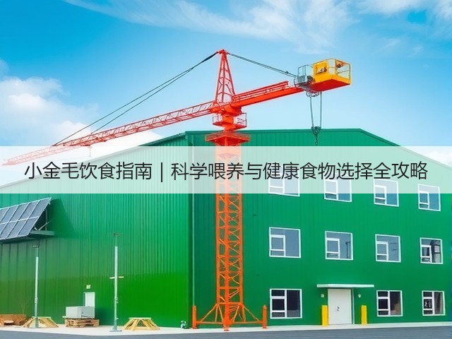小金毛饮食指南｜科学喂养与健康食物选择全攻略(图1)
