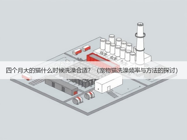 四个月大的猫什么时候洗澡合适?(宠物猫洗澡频率与方法的探讨)(图2) 四个月大的猫什么时候洗澡合适?(宠物猫洗澡频率与方法的探讨)(图2)