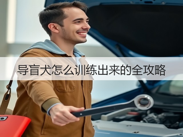 导盲犬怎么训练出来的全攻略(图3) 导盲犬怎么训练出来的全攻略(图3)