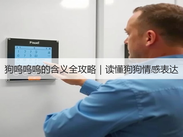 狗呜呜呜的含义全攻略|读懂狗狗情感表达(图1) 狗呜呜呜的含义全攻略|读懂狗狗情感表达(图1)