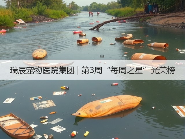 瑞辰宠物医院集团 | 第3周“每周之星”光荣榜(图3) 瑞辰宠物医院集团 | 第3周“每周之星”光荣榜(图3)