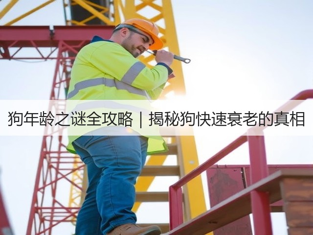 狗年龄之谜全攻略|揭秘狗快速衰老的真相(图3) 狗年龄之谜全攻略|揭秘狗快速衰老的真相(图3)