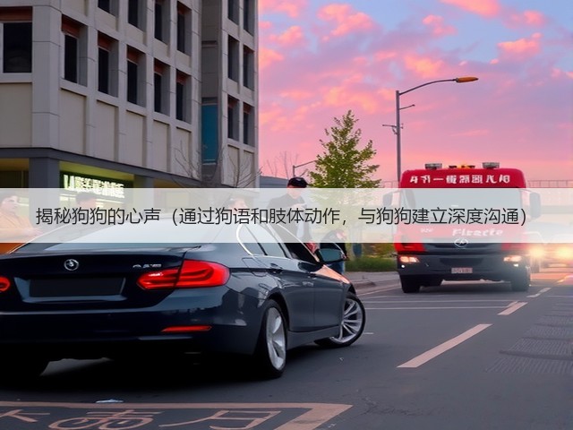 揭秘狗狗的心声(通过狗语和肢体动作,与狗狗建立深度沟通)(图1) 揭秘狗狗的心声(通过狗语和肢体动作,与狗狗建立深度沟通)(图1)