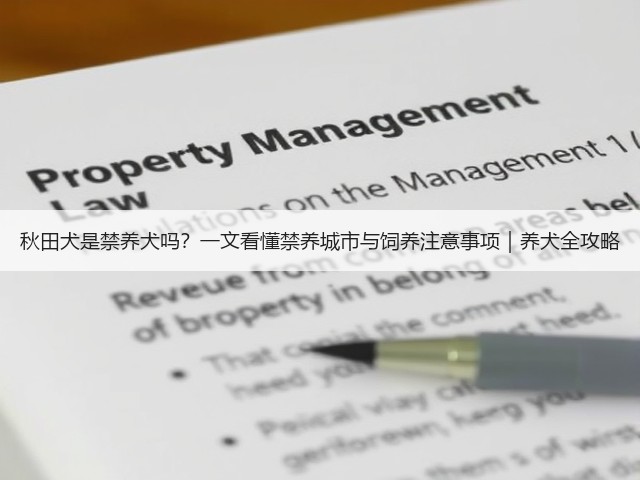 秋田犬是禁养犬吗？一文看懂禁养城市与饲养注意事项｜养犬全攻略(图1)