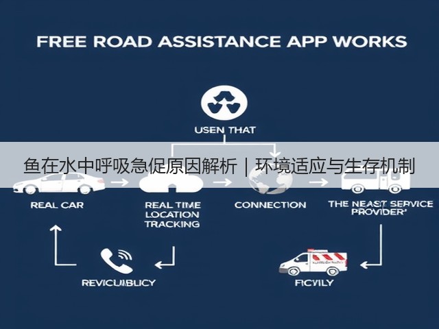 鱼在水中呼吸急促原因解析|环境适应与生存机制(图1) 鱼在水中呼吸急促原因解析|环境适应与生存机制(图1)