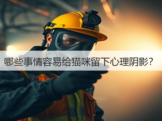 哪些事情容易给猫咪留下心理阴影?(图3) 哪些事情容易给猫咪留下心理阴影?(图3)