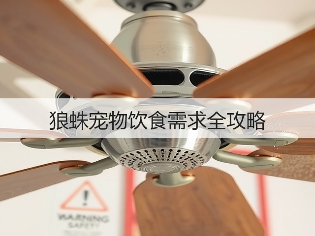 狼蛛宠物饮食需求全攻略(图1) 狼蛛宠物饮食需求全攻略(图1)