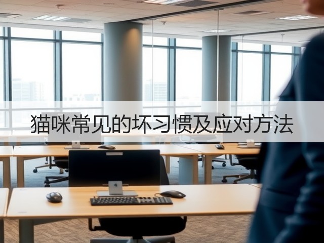 猫咪常见的坏习惯及应对方法(图2) 猫咪常见的坏习惯及应对方法(图2)