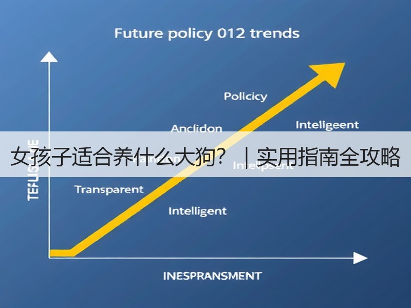 女孩子适合养什么大狗？｜实用指南全攻略