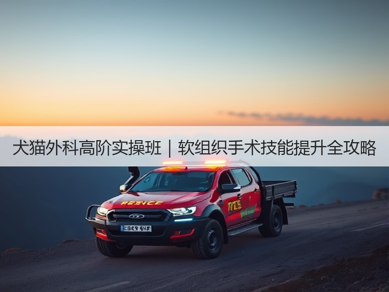 犬猫外科高阶实操班｜软组织手术技能提升全攻略