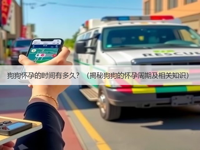 狗狗怀孕的时间有多久?(揭秘狗狗的怀孕周期及相关知识)(图3) 狗狗怀孕的时间有多久?(揭秘狗狗的怀孕周期及相关知识)(图3)