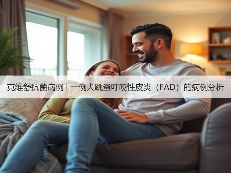 克维舒抗菌病例 | 一例犬跳蚤叮咬性皮炎（FAD）的病例分析
