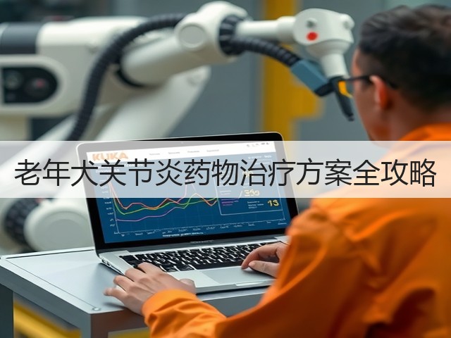 老年犬关节炎药物治疗方案全攻略(图3) 老年犬关节炎药物治疗方案全攻略(图3)
