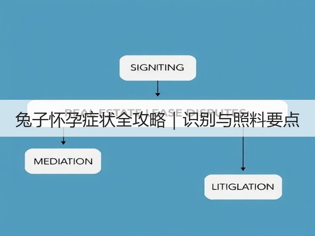 兔子怀孕症状全攻略|识别与照料要点(图1) 兔子怀孕症状全攻略|识别与照料要点(图1)
