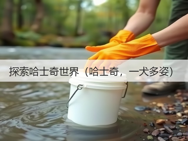 探索哈士奇世界(哈士奇,一犬多姿)(图1) 探索哈士奇世界(哈士奇,一犬多姿)(图1)