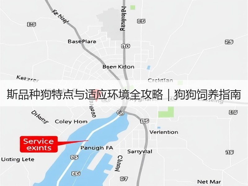 斯品种狗特点与适应环境全攻略｜狗狗饲养指南