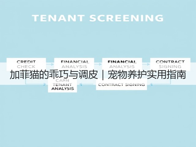 加菲猫的乖巧与调皮｜宠物养护实用指南(图2)